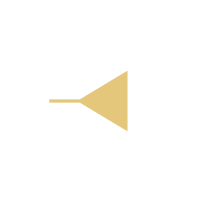 Professional Voice & Industry Influence
